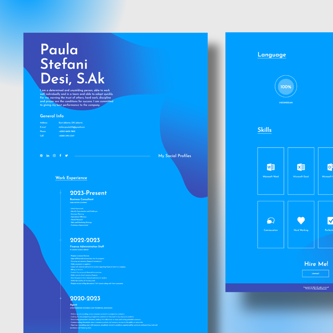 Professional Portfolio Website